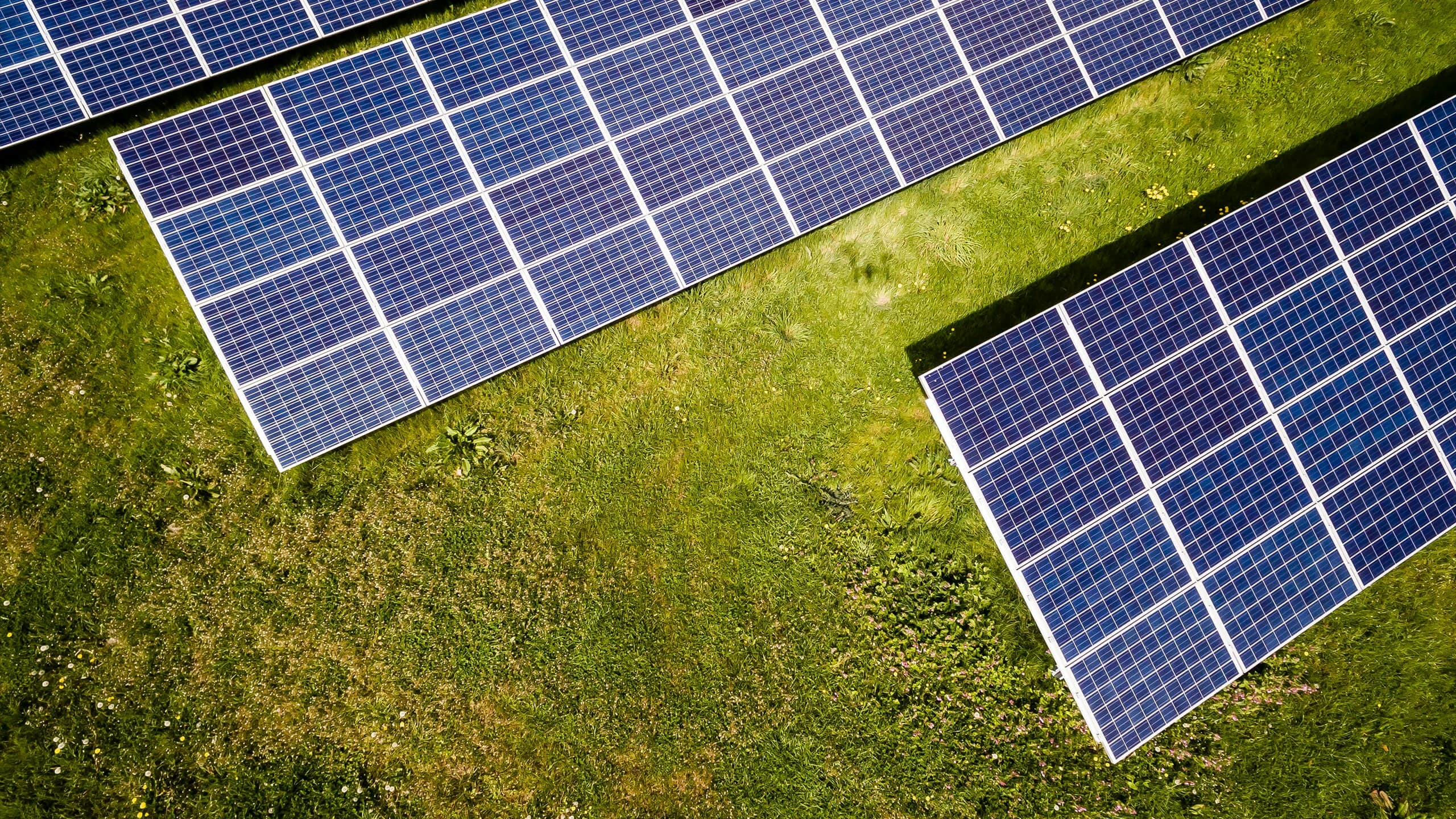 MSE-GIFT Rooftop Solar Loan in 2026: Status, Eligibility and Savings